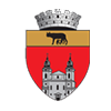 blaj council logo