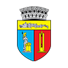 cluj city council logo